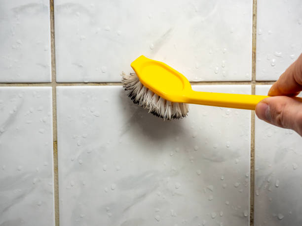 Best Professional Mold Removal  in Seaside Park, NJ