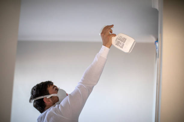 Best Mold Cleaning Services  in Seaside Park, NJ