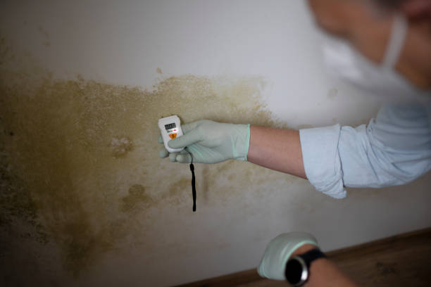 Best Mold Testing  in Seaside Park, NJ