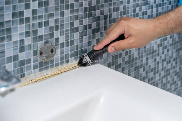 Best Toxic Mold Removal  in Seaside Park, NJ