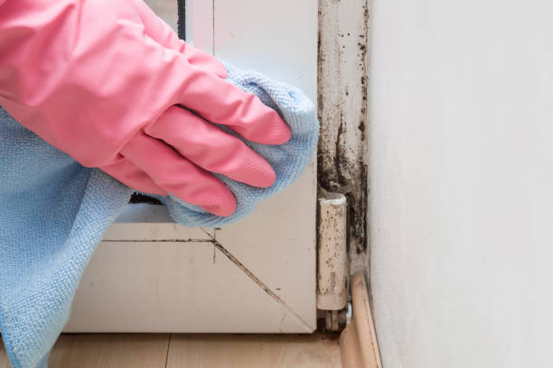 Crawl Space Mold Removal in Seaside Park, NJ